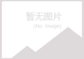 阳山县搁浅会计有限公司